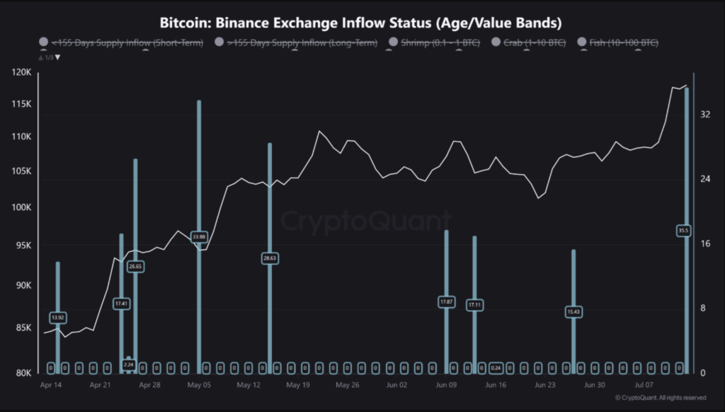 جزئیات جریان ورودی به صرافی بایننس ۰ منبع: CryptoQuant